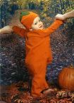 Hylton the pumpkin