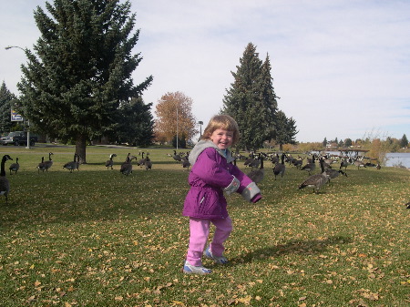 24 Oct 2003