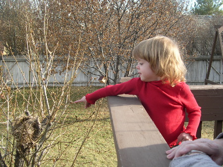 28 Nov 2003